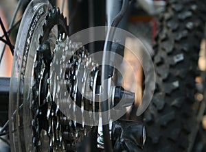 Closeup of Bike Gears