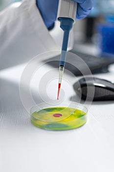 Closeup of biologist researcher man hands dropping red liquid in petri dish