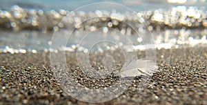 Closeup bird feather on sandy ocean beach on sunset. natural vintage summer background