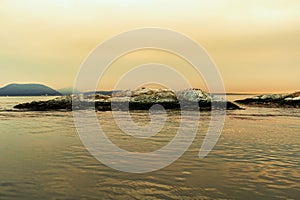 closeup of  birds perched atop a series of rocks in a tranquil body of water,Anacortes, WA