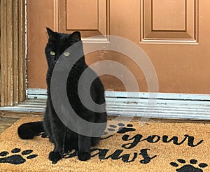 Closeup of a black cat on a doormat.