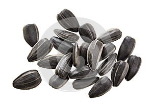 Closeup of black sunflower seeds isolated on white background. Pile of sunflower seeds.