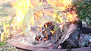 Closeup of Blazing Brush, Man Tending Fire in Back Yard, Slow Motion Fire Pit in 4K