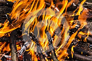 Closeup of blazing campfire, Campfire burning logs in large orange and yellow flames in close up of the wood aflame. Close up of a