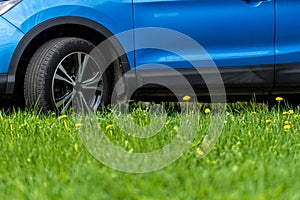 Closeup of a blue car on a green meadow with dandelions