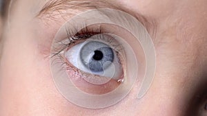 Closeup of blue child eye, concept of genetics inherited traits, innocent look photo