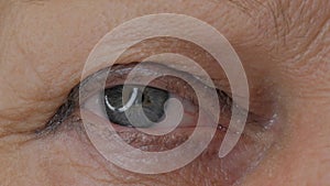 Closeup of blue female eye.