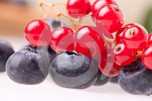 Closeup Of Blueberries And Redcurrants