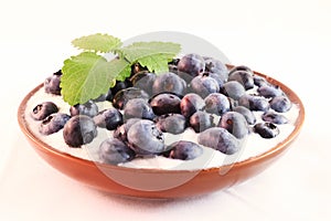 Closeup of blueberries in white yogurt