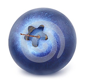 Closeup of blueberry.