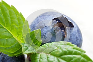 Closeup of Blueberry and Mint