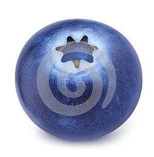 Closeup of blueberry.