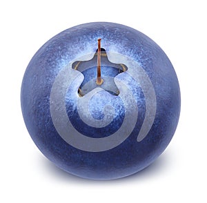 Closeup of blueberry.