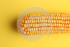 Closeup of a boiled corn on a yellow background