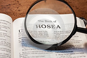 closeup of the book of Hosea from Bible or Torah using a magnifying glass to enlarge print.