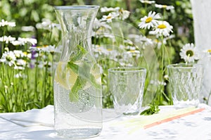 Closeup of bottle of cold healthy water with lemon and mint outdoor.Relax time in the garden during sunny and hot summer day