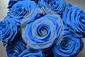 Closeup of a bouquet of blue roses under the lights