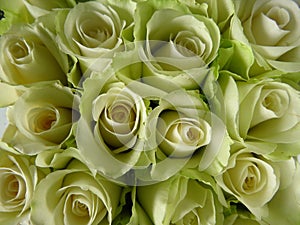 Closeup of a bouquet of yellow roses