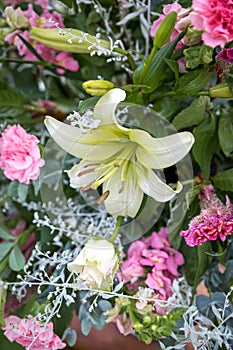 Closeup of a bouquette of flowers