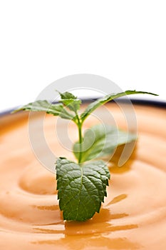 Porra antequerana, tomato soup similar to gazpacho photo