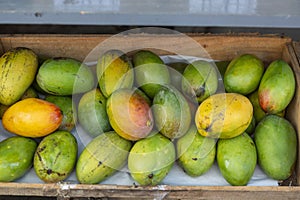 closeup of box of mangoes displayed in the fruit shop