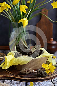 Closeup of a box with morels and a vase with yellow wild tulips on a dark wooden background. Vertical