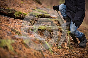 Closeup of boy`s feet on tree snag in the forest. Child walking outdoors. Kid sitting on old stump