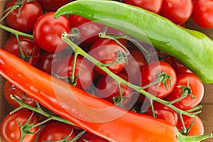 Closeup branch tomato cherry red green pepper spicy salsa sauce delicious