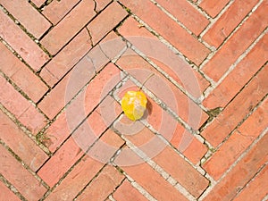 Closeup brick texture with leave