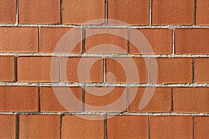 Closeup of a brick wall under the sunlight