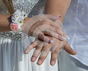 Closeup of bride and groom hands with wedding rings