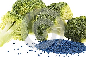 Closeup of broccoli florets and seed
