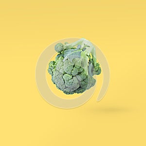 Closeup broccoli soars in the air on a yellow background with a shadow