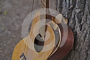 Closeup of a broken acoustic guitar leaning on a tree