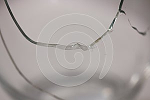 Closeup of broken transparent drinking glass in the kitchen