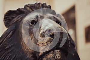 Closeup of bronze lion statue head