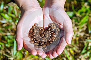Closeup of brown coffee background on agriculturist hand