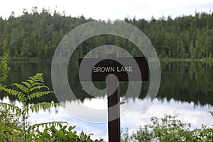 Closeup of 'brown lake' sign in background of lake surrounded by dense trees