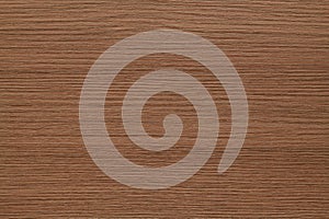 Closeup brown wood texture. Abstract wood texture background.