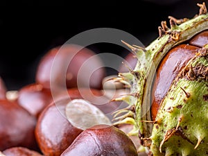 Closeup of bunch of chestnuts