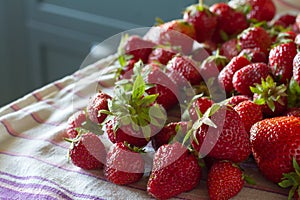 Closeup of a bunch of fresh large ripe strawberries on the kitchen table before cooking, selective focus