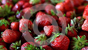 Closeup of a bunch of fresh, large, ripe strawberries on the kitchen table before cooking, selective focus