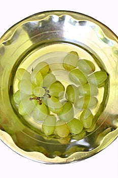 Closeup the bunch green ripe grapes in the steel plate over out of focus white background