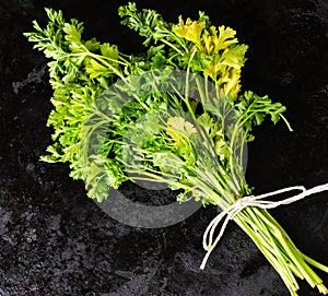 Closeup bunch of parsley on dark background