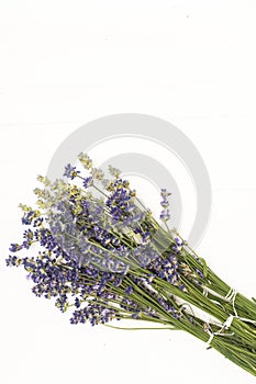 Closeup of a bunch of violet fresh and dried lavender flowers bouquets over white wood background