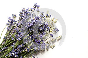 Closeup of a bunch of violet fresh and dried lavender flowers bouquets over white wood background