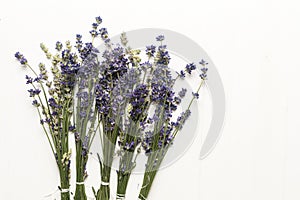 Closeup of a bunch of violet fresh and dried lavender flowers bouquets over white wood background