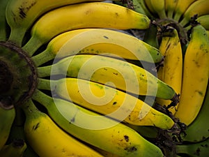 Closeup of a bundle of banana