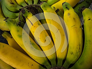 Closeup of a bundle of banana