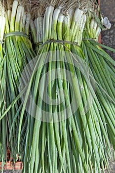 Closeup of bundle of chive at the wholesale market stall photo